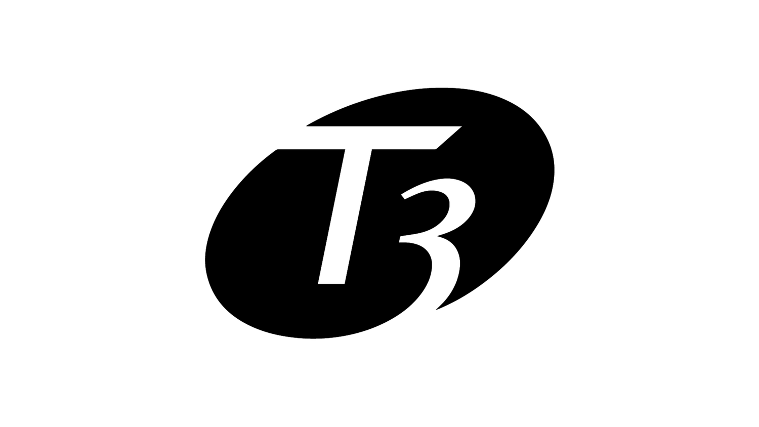 T3