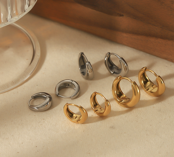 Boucles Dolara Argenté - Stainless