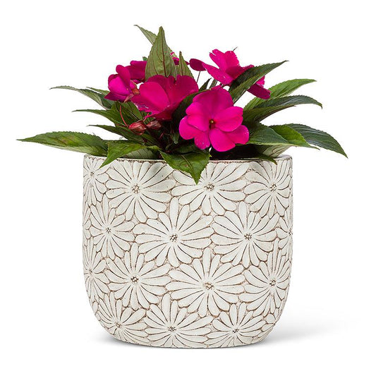 Cache-pot - Daisy Petit