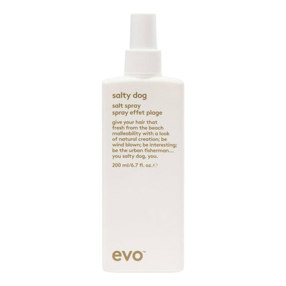 Spray Effet Plage Evo - Salty Dog